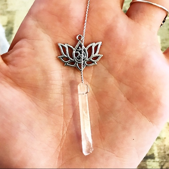 Custom Lotus Ideas - Picture 3 of 6